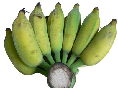  					Văn khấn Thần Tài Thổ Địa				